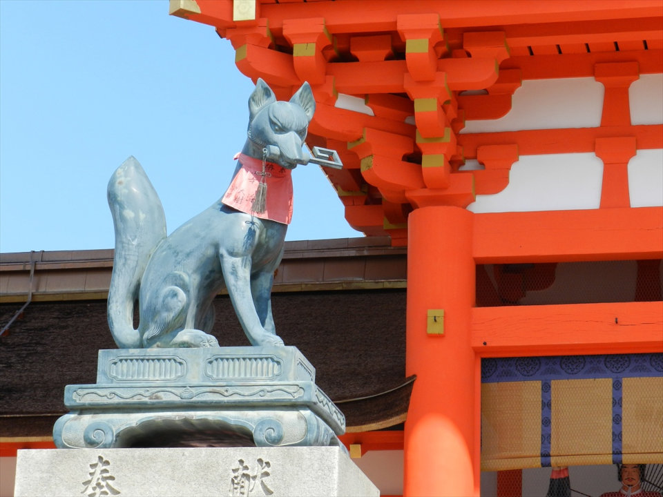 Zorro en el templo Fushimi Inari